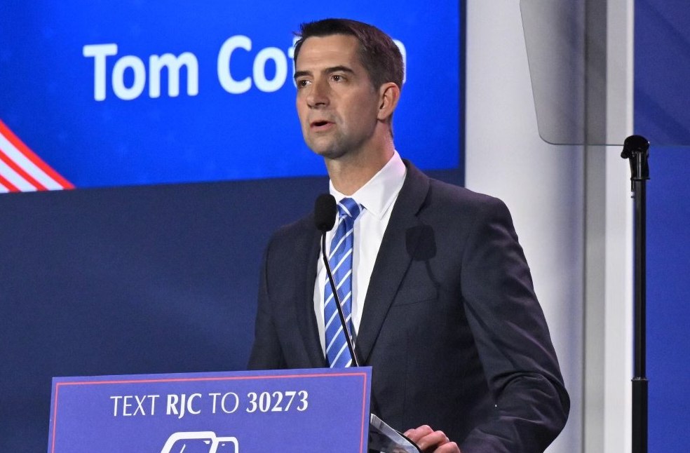 US probes Shein and Temu-Image Via-X-Cotton