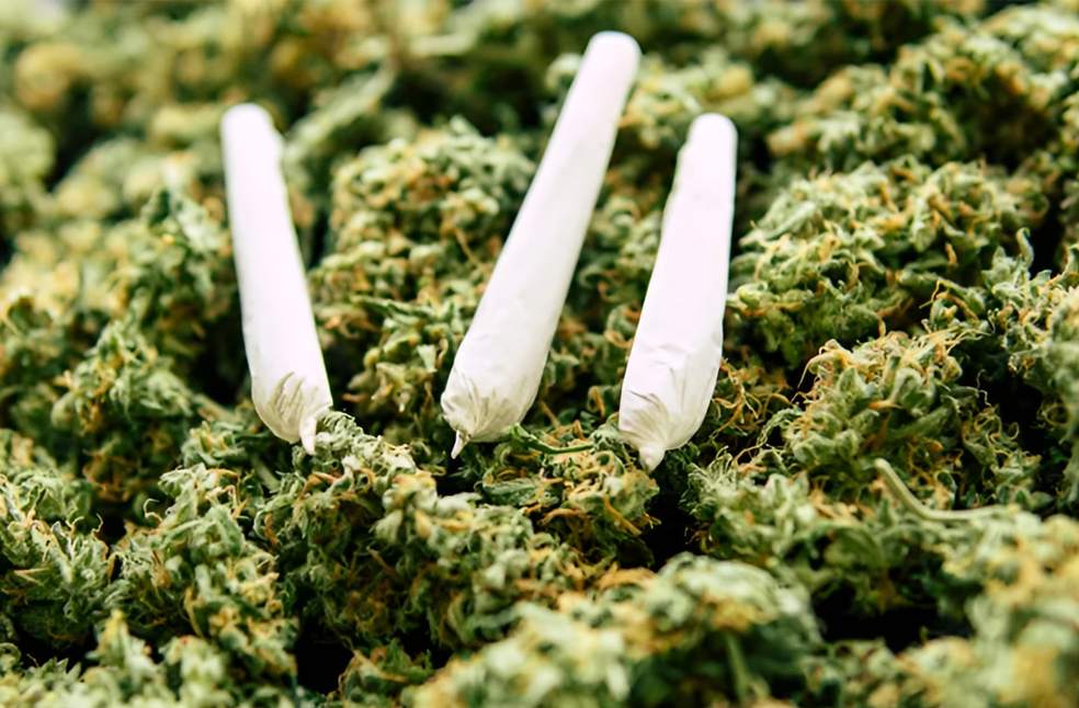 Cannabis benefits in mental health-Image from-KCL