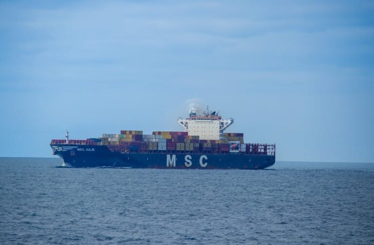 Trump urges allies to send warships to Strait of Hormuz Cargo Ship on Open Sea Under Clear Blue Sky