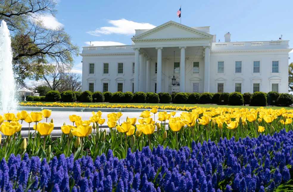 Gunfire near the White House
