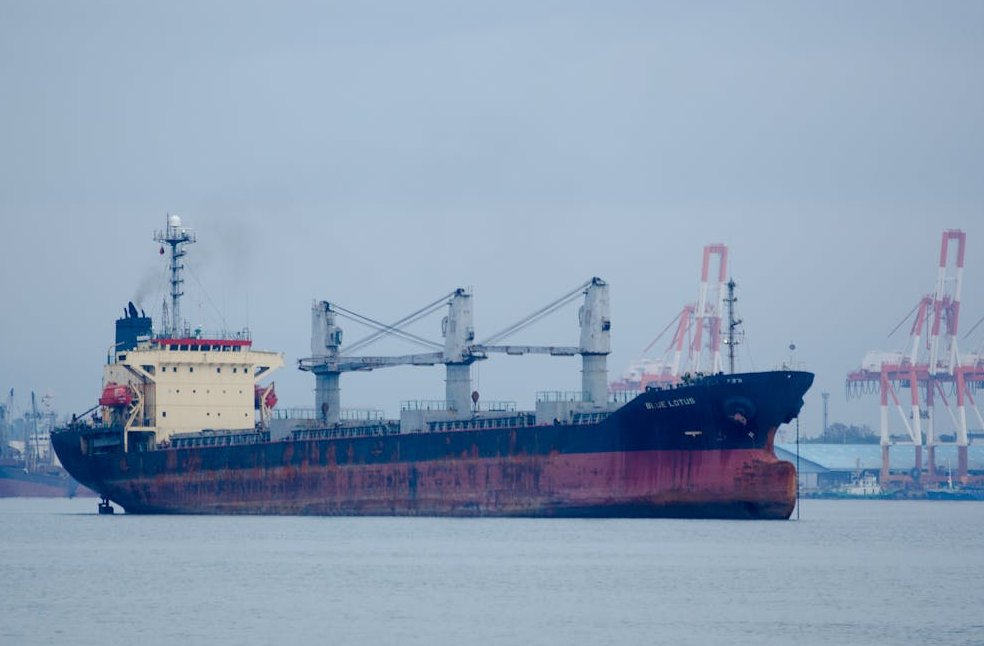 Bulk Carrier Blue Lotus Anchored in the Port