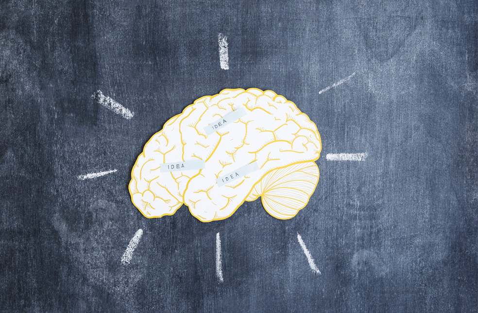Idea labels over the brain on chalkboard