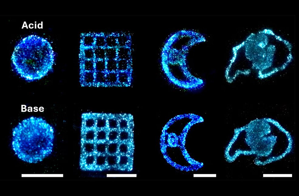 Blue algae light research-Image Via-Colorado Uni