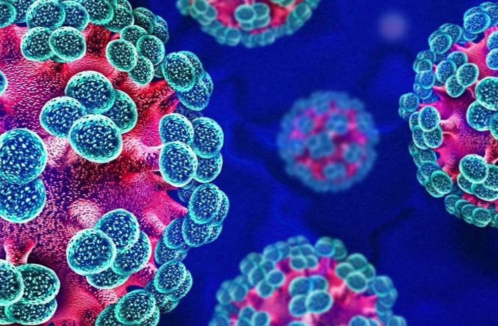 Hantavirus outbreak MV Hondius-Image Via-X-UKHSA