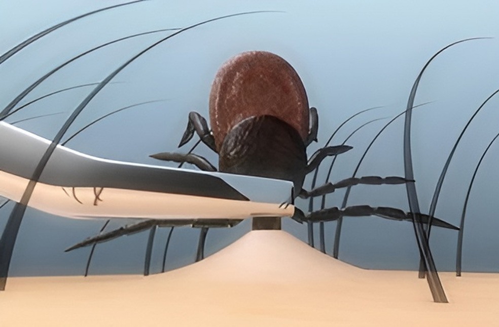 Lyme Disease England-NHS