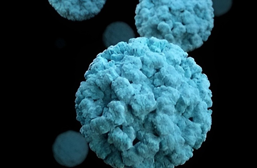 Norovirus hit cruise ship-Image Via-NHS