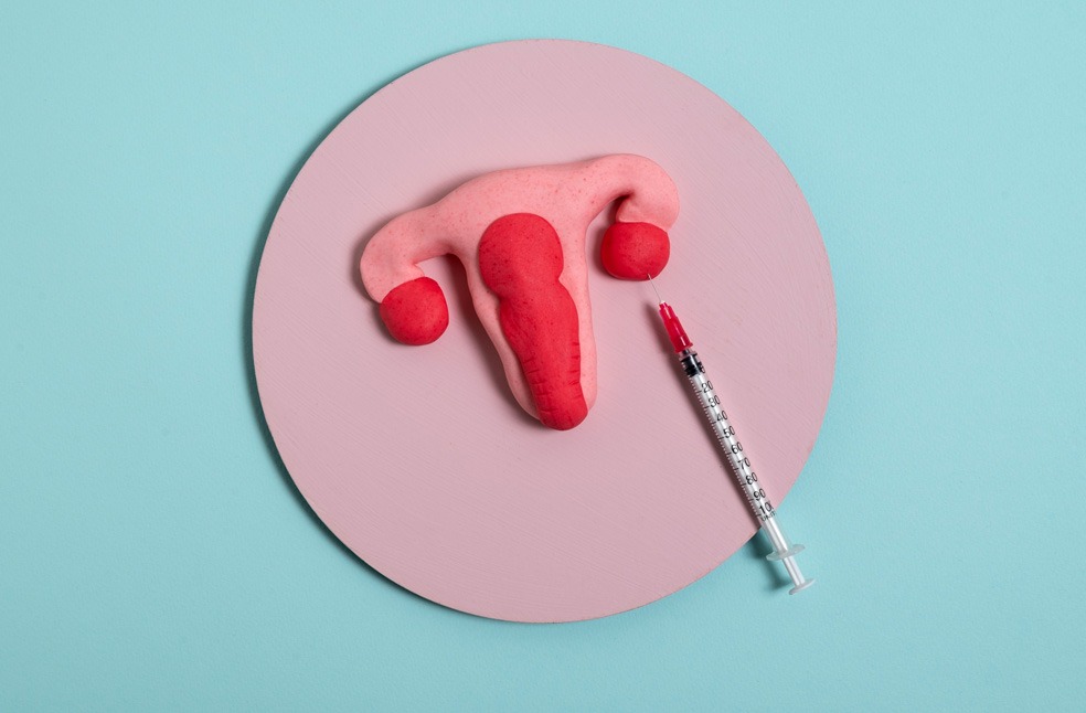 Reproductive system and syringe top view