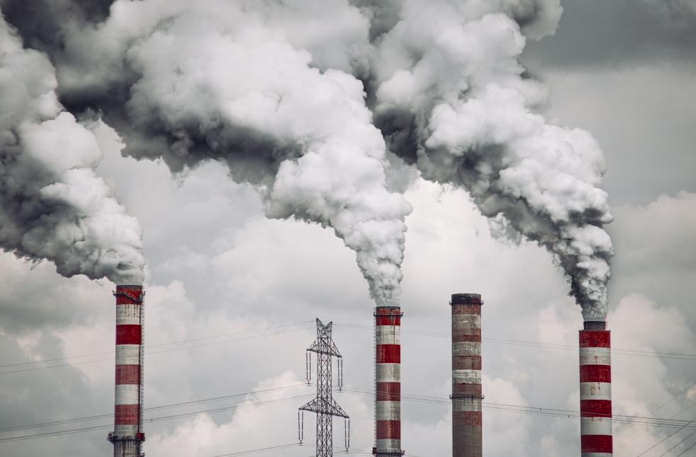 Bank of England bars thermal coal-linked bonds