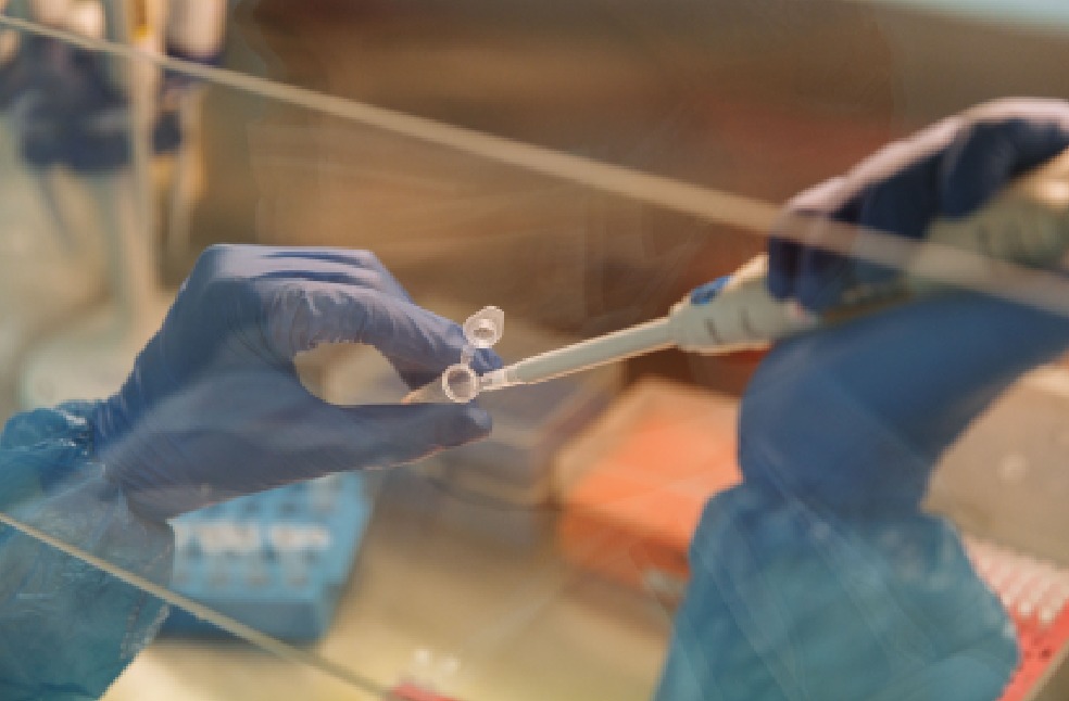 Close-up of scientist using a pipette with test tubes in a laboratory setting
