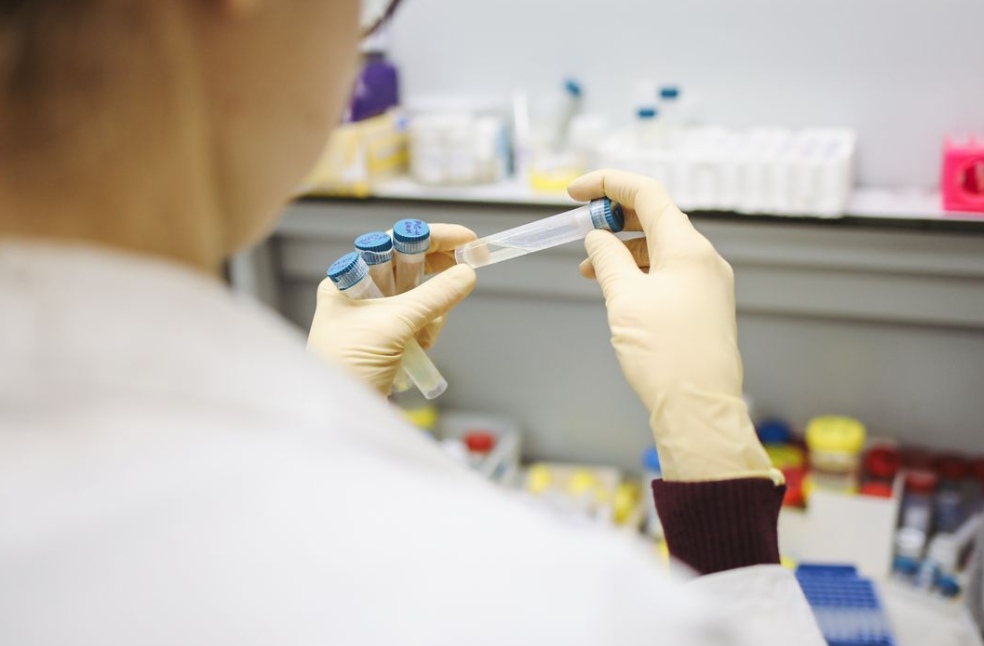 Scientist examining bacterial samples in a laboratory