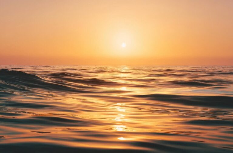 Copernicus: World’s oceans see hottest June ever recorded Sunset warm ocean view