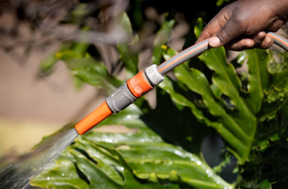 Close-up of hand holding a garden hose