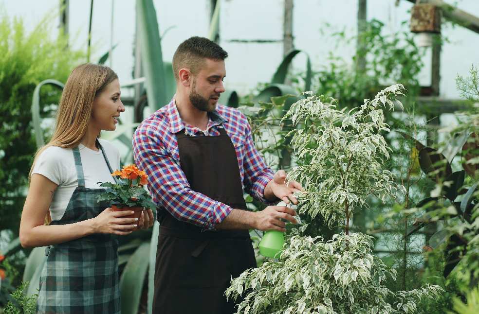 Two gardeners nurturing plants inside a greenhouse, wearing aprons