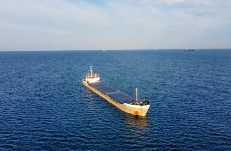 Ships passing through Strait of Hormuz fall to single digits, data shows A cargo ship moves through the ocean