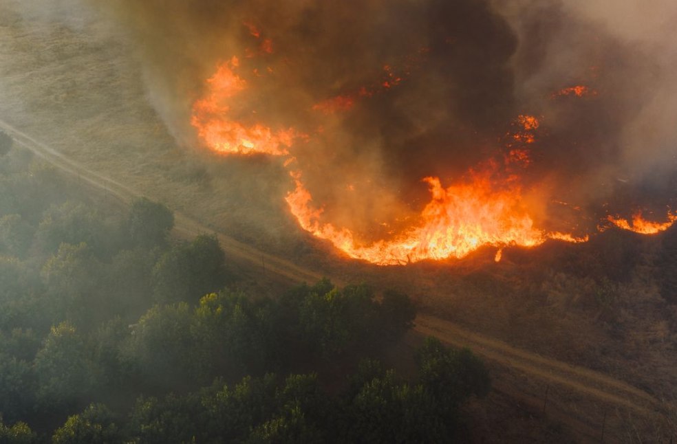 Aerial shot of a wildfire raging through a forest