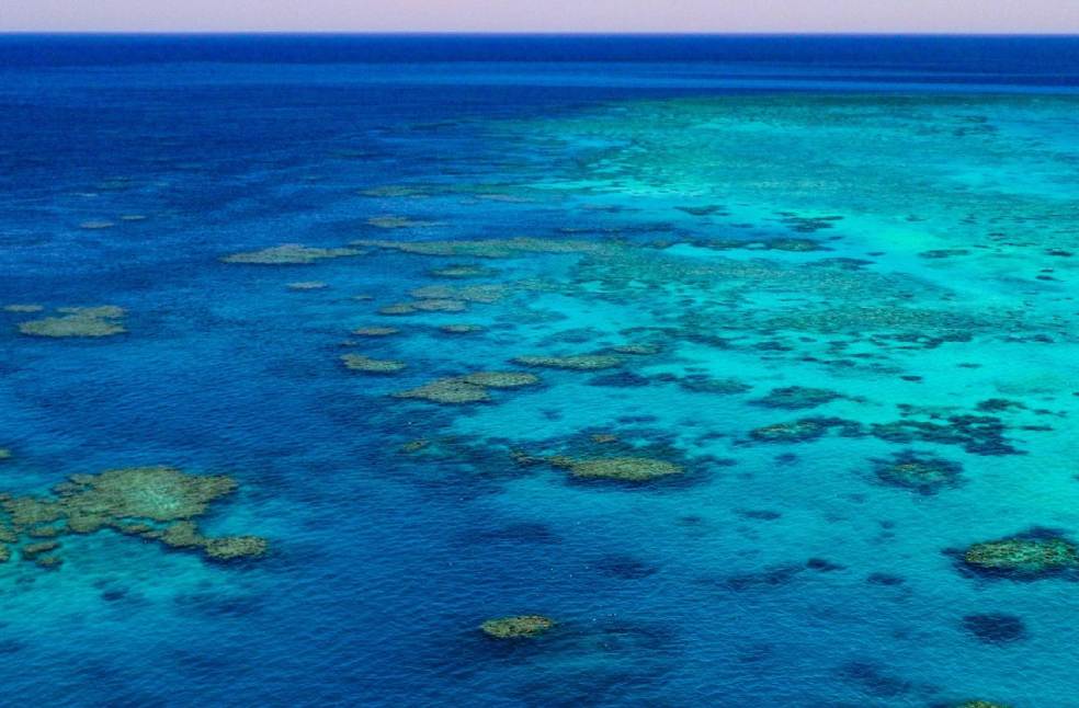 coral bleaching