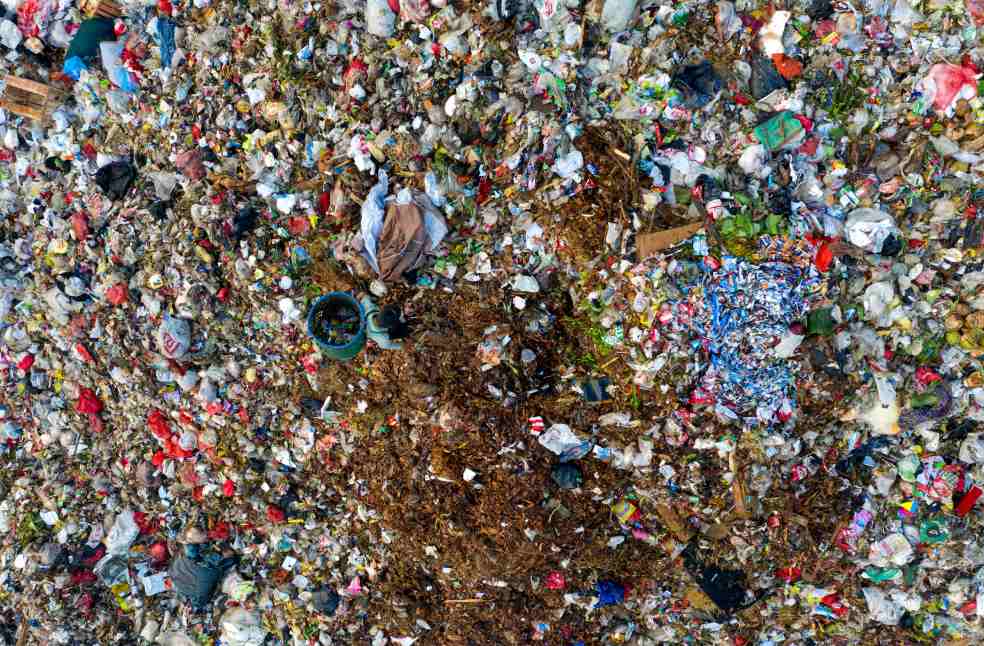food waste management