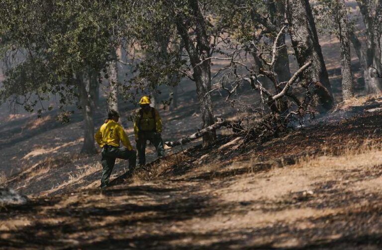 Indigenous groups challenge Indonesia’s forest fire response Two firefighters inspect a charred forest area post-wildfire, amidst burnt trees and foliage.