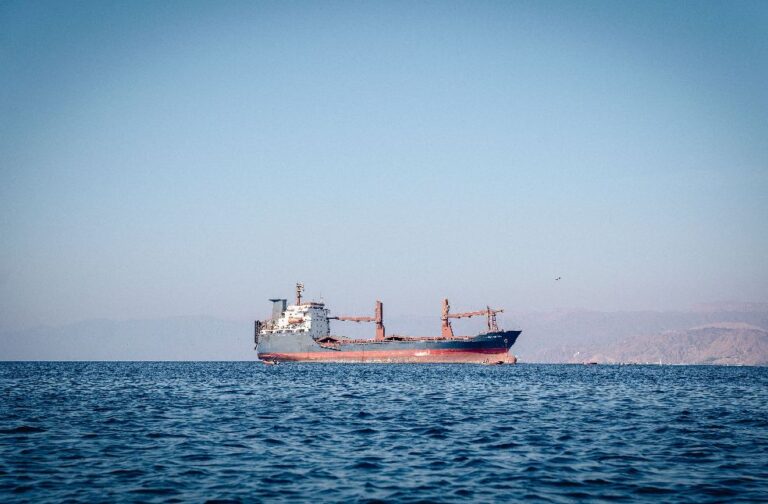 Shipping traffic through the Strait of Hormuz falls sharply A cargo ship sailing on calm ocean waters under a clear blue sky.
