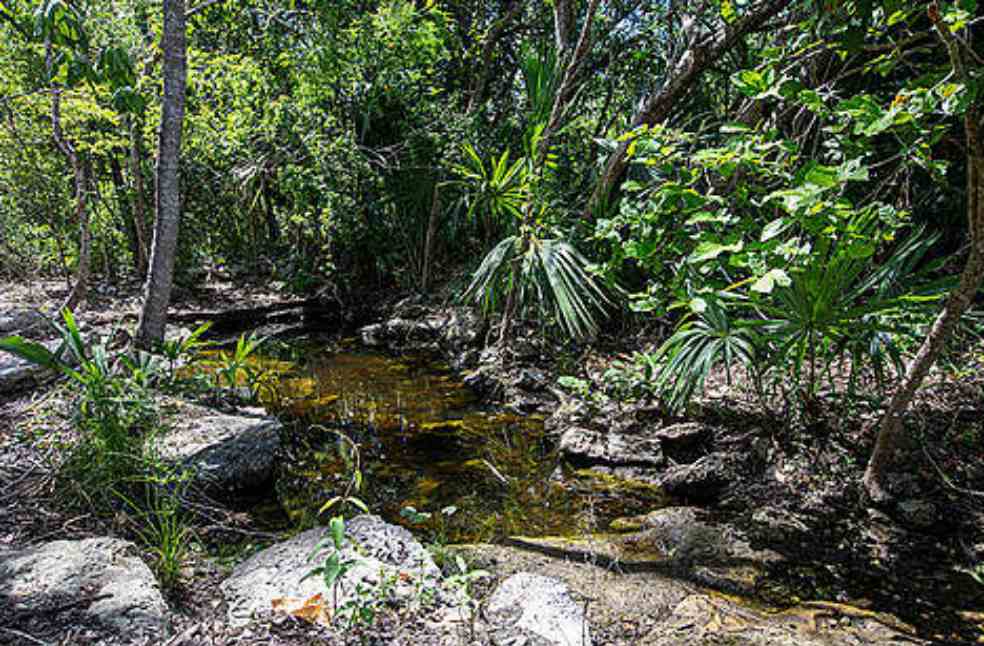Greenpeace finds faecal bacteria in Mexico’s Yucatan water sources
