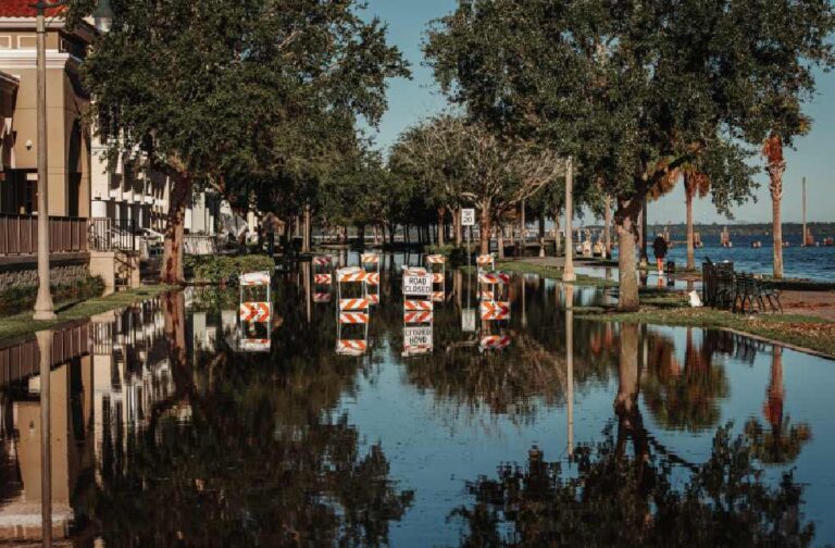 Istanbul faces severe flooding after record rainfall in 84 years A flooded street with road closed signs reflecting in the water along a tree-lined sidewalk.