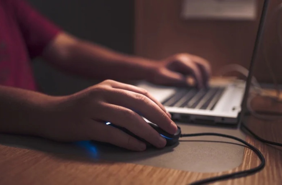 Hands holding mouse