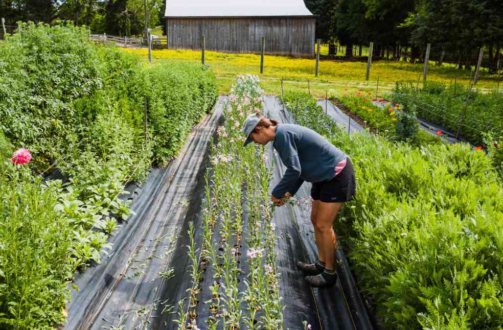 Organic Farm Visits