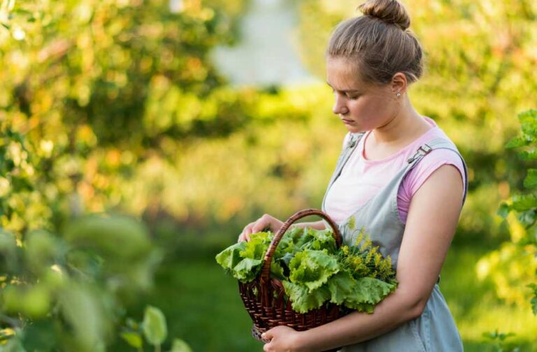 Organic Farm Visits: The growing popularity of rural tourism Organic farm visits trends